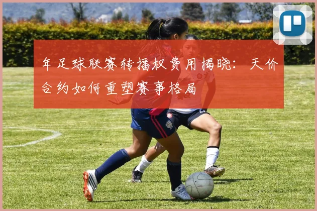 年足球联赛转播权费用揭晓:天价合约如何重塑赛事格局