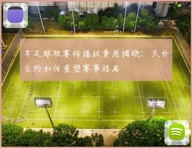 年足球联赛转播权费用揭晓：天价合约如何重塑赛事格局
